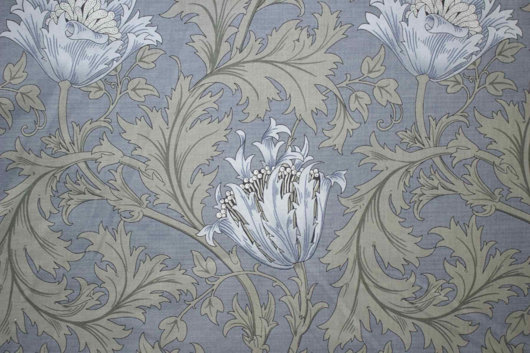 Ji Morris アネモネ